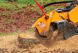 Lawn Maintenance Plans in Rohnert Park, CA